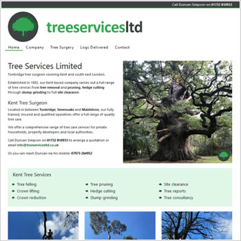 Tonbridge tree surgeon